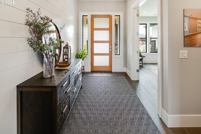 entrance foyer featuring dark hardwood / wood-style flooring