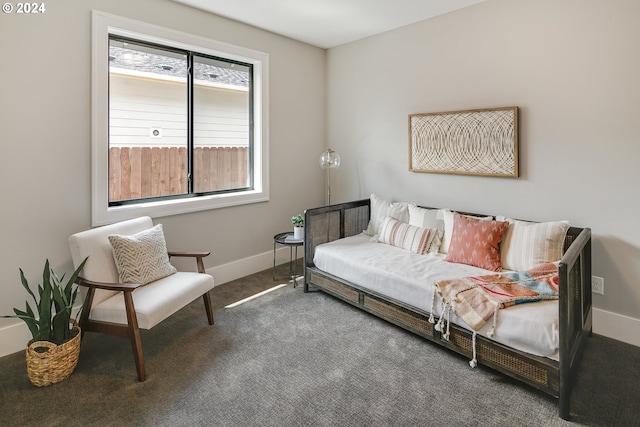 living area with carpet flooring