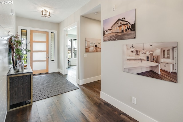 foyer entrance with dark hardwood / wood-style floors