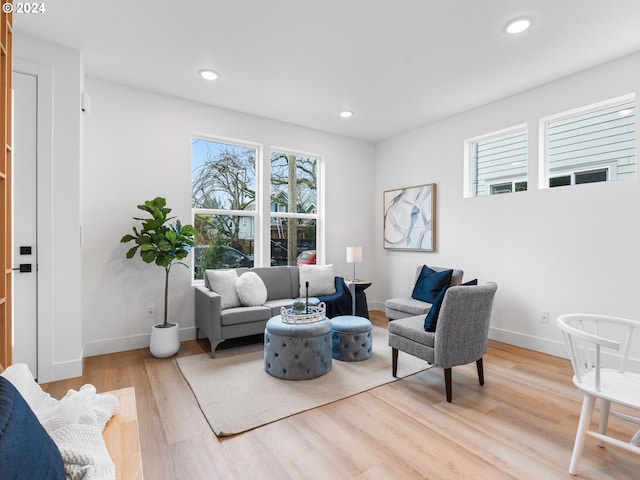 living room featuring light hardwood / wood-style floors