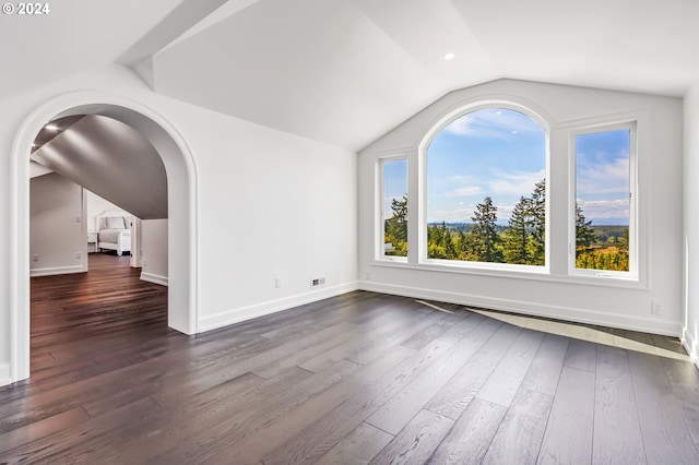 interior space featuring dark wood-type flooring and lofted ceiling