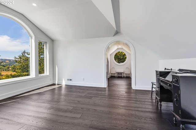 interior space with lofted ceiling and dark wood-type flooring