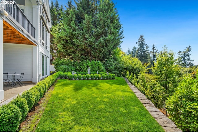 view of yard with a patio area