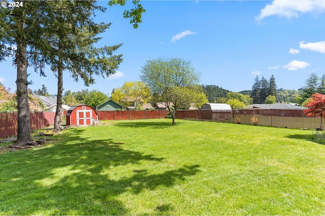 view of yard with a storage shed