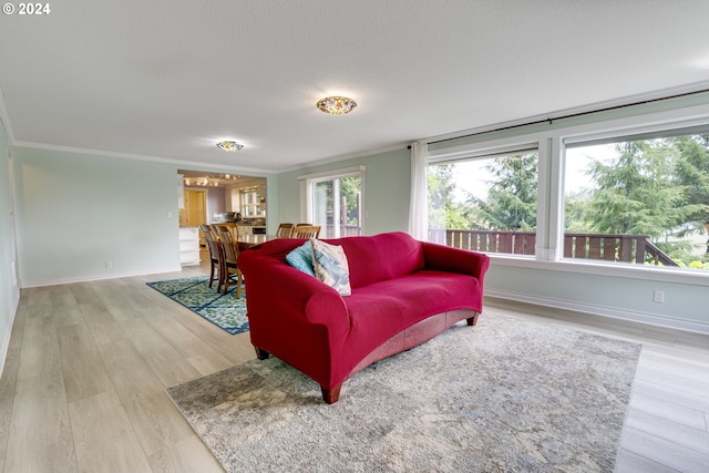 living room with light hardwood / wood-style flooring and crown molding