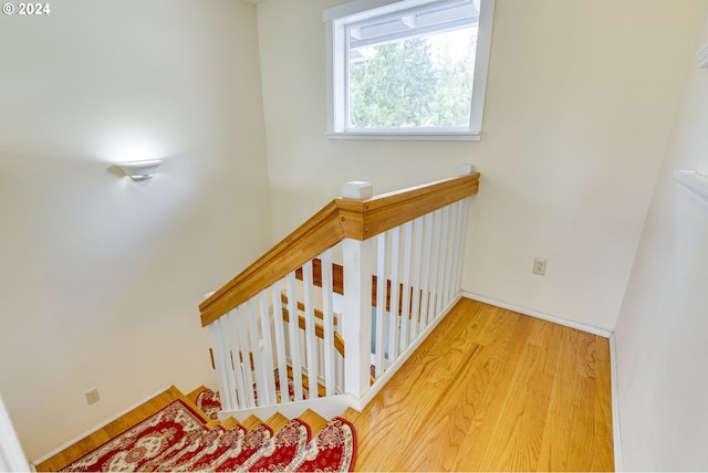 stairway with wood-type flooring