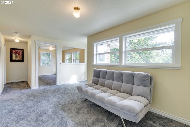 living area with carpet flooring and a wealth of natural light