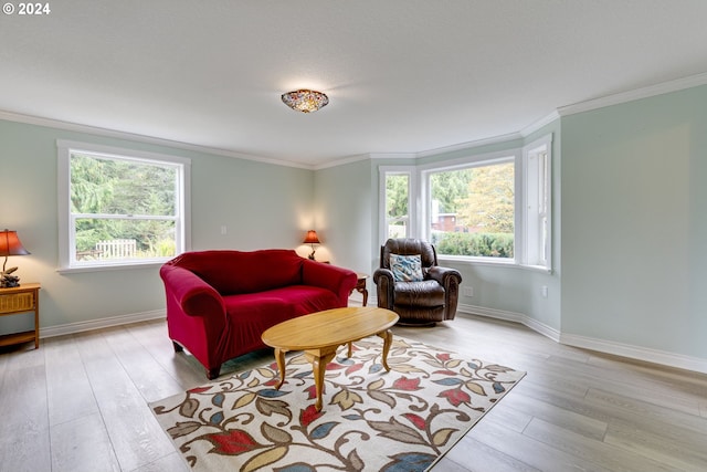 living room with ornamental molding, light hardwood / wood-style floors, and plenty of natural light