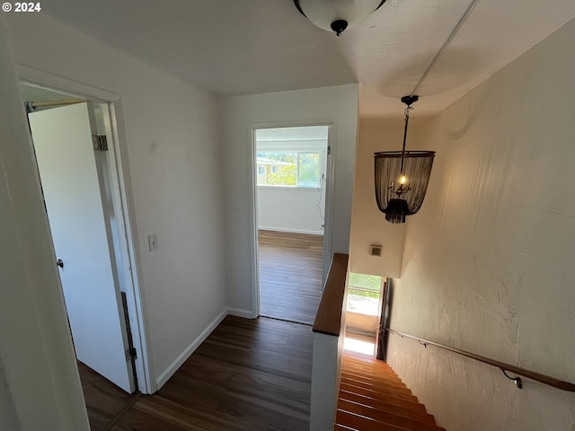 hall with dark hardwood / wood-style floors