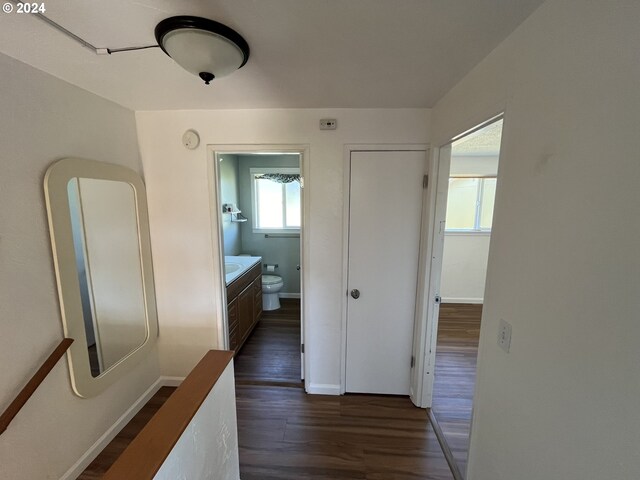 hallway with a wealth of natural light and dark hardwood / wood-style floors