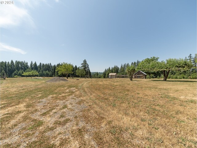 view of yard with a rural view