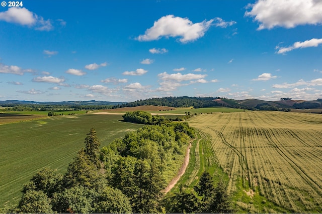 drone / aerial view with a mountain view and a rural view