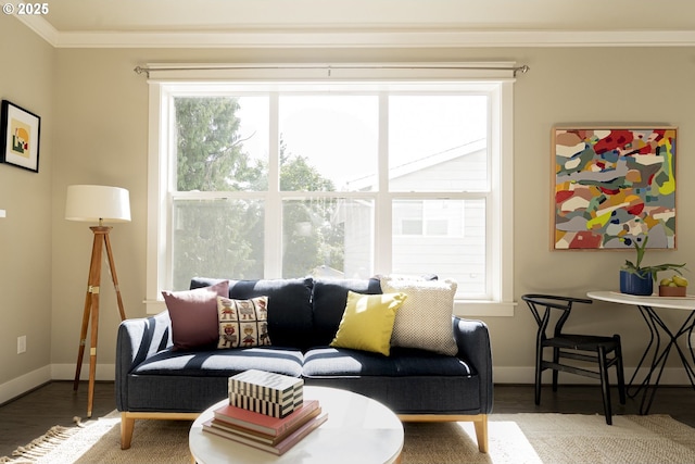 3050 SE 50th Ave Unit 6, Portland, OR 97206 - living area featuring wood finished floors, crown molding, and baseboards