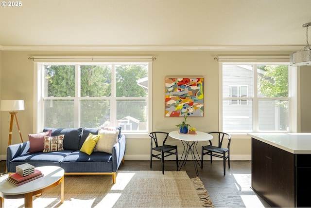 3050 SE 50th Ave Unit 6, Portland, OR 97206 - living area with baseboards, plenty of natural light, and crown molding