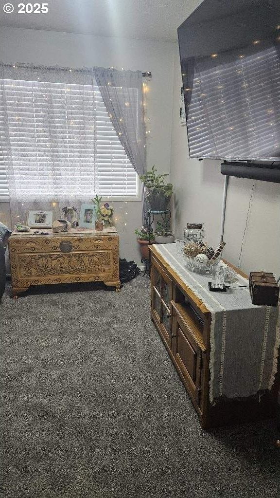 414 SE 17th St, Pendleton, OR 97801 - view of carpeted living room