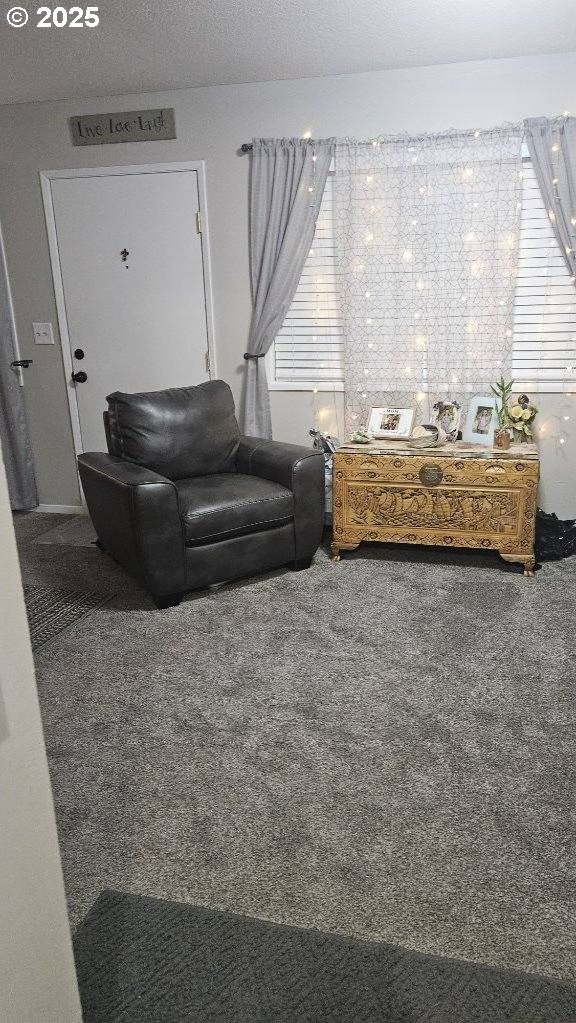 414 SE 17th St, Pendleton, OR 97801 - living room with carpet floors