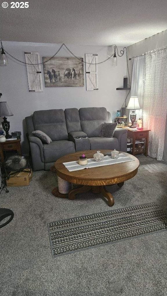 414 SE 17th St, Pendleton, OR 97801 - carpeted living room featuring a textured ceiling