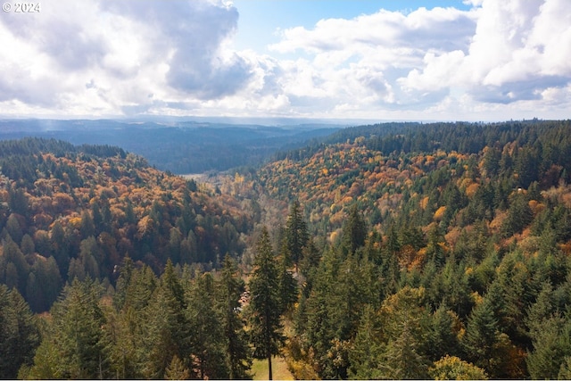 19500 S Rockie Dr, Mulino, OR 97042 - view of mountain background with a heavily wooded area