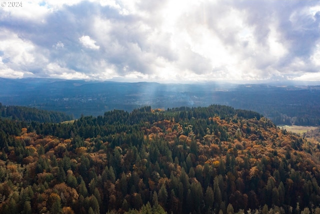 19500 S Rockie Dr, Mulino, OR 97042 - aerial view of a forest and mountains