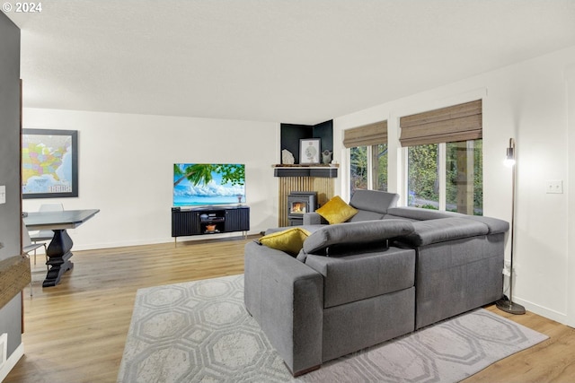 19500 S Rockie Dr, Mulino, OR 97042 - living room with light wood finished floors, a glass covered fireplace, and baseboards