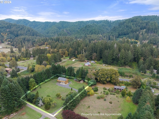 aerial view featuring a mountain view