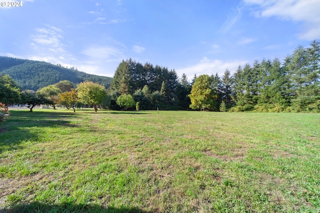 view of yard featuring a mountain view and a rural view