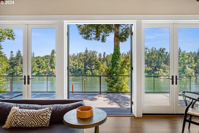 doorway to outside featuring a water view, french doors, and a wealth of natural light