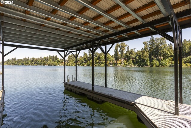 dock area with a water view