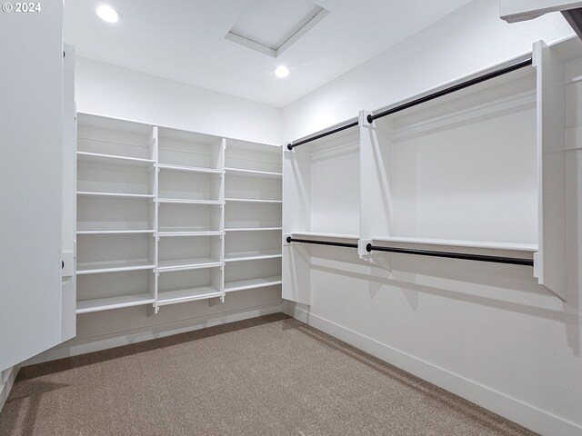 walk in closet featuring carpet flooring