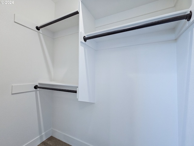 view of walk in closet