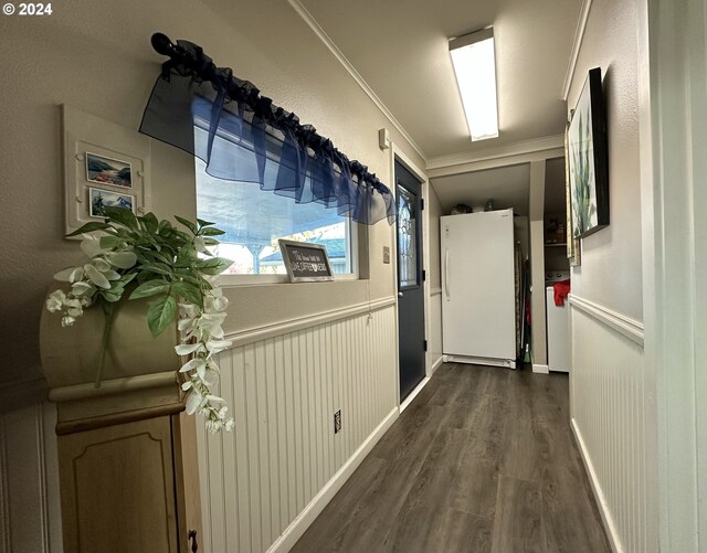 hall featuring dark hardwood / wood-style floors and crown molding