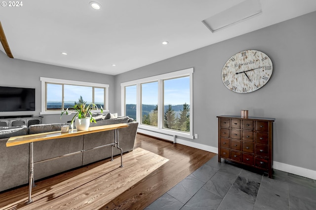 living room with a baseboard radiator and dark hardwood / wood-style floors