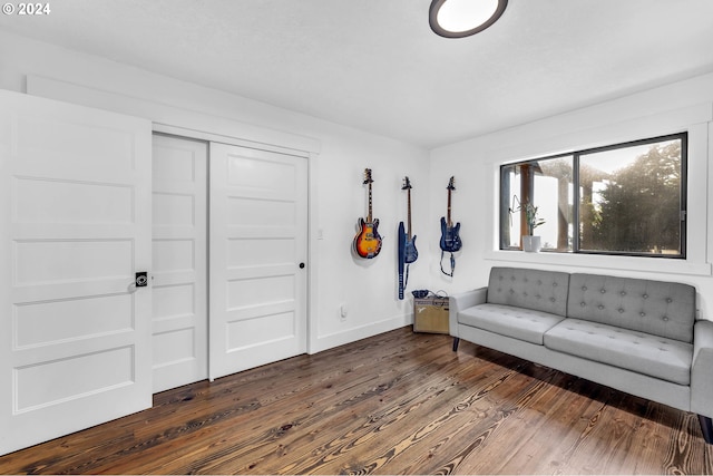 living room featuring dark wood-type flooring