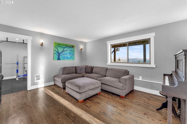 living room with dark hardwood / wood-style floors