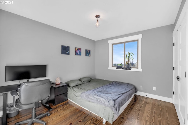 bedroom featuring wood-type flooring and a closet