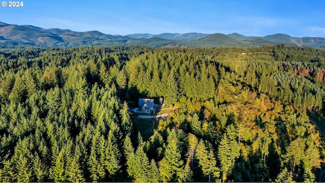 40700 NE Skye View Dr, Washougal, WA 98671 - aerial view of a forest and mountains