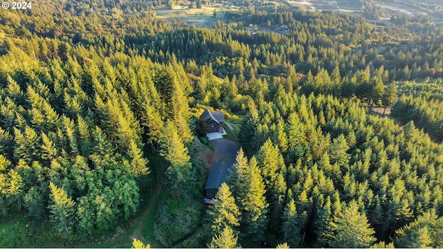 40700 NE Skye View Dr, Washougal, WA 98671 - drone / aerial view of a heavily wooded area