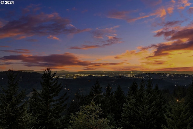 40700 NE Skye View Dr, Washougal, WA 98671 - mountain view