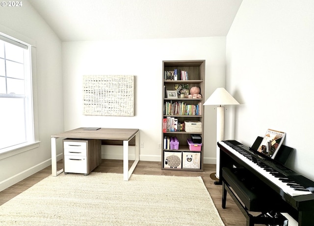 interior space with wood-type flooring and plenty of natural light