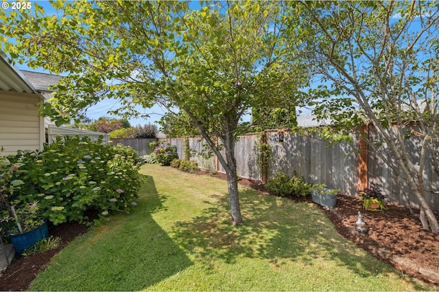 1499 Walton Way, Woodburn, OR 97071 - view of fenced backyard