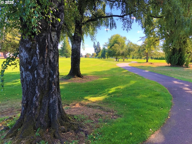 1499 Walton Way, Woodburn, OR 97071 - surrounding community featuring a yard