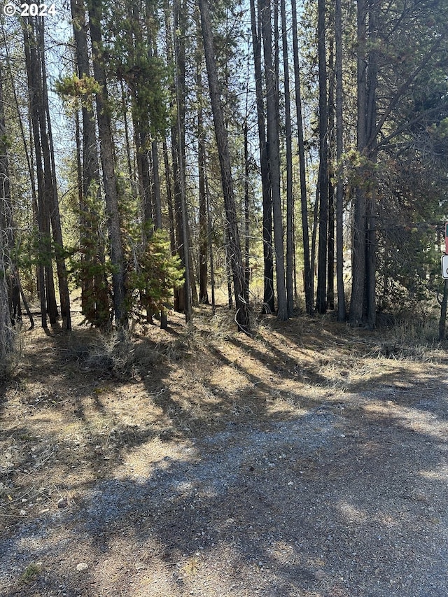 136350 Main St, Crescent, OR 97733 - view of nature