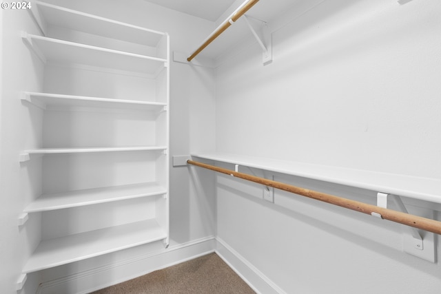 walk in closet with carpet