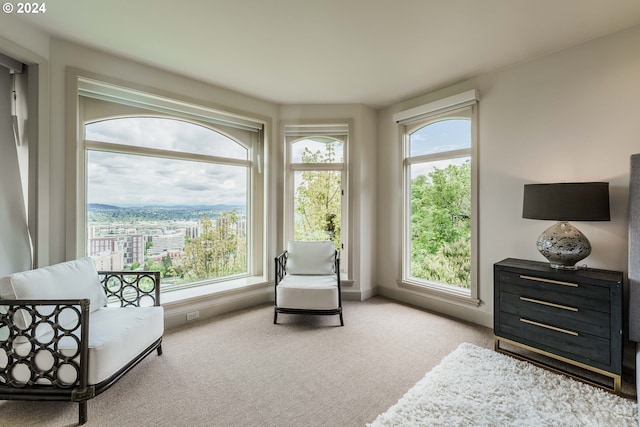 sitting room with light carpet and a healthy amount of sunlight