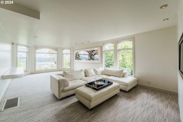 living room with carpet