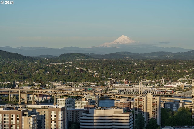 view of city featuring a water and mountain view