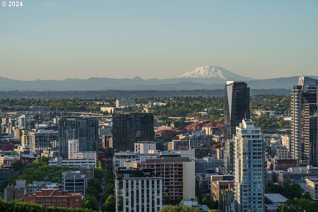 city view with a mountain view