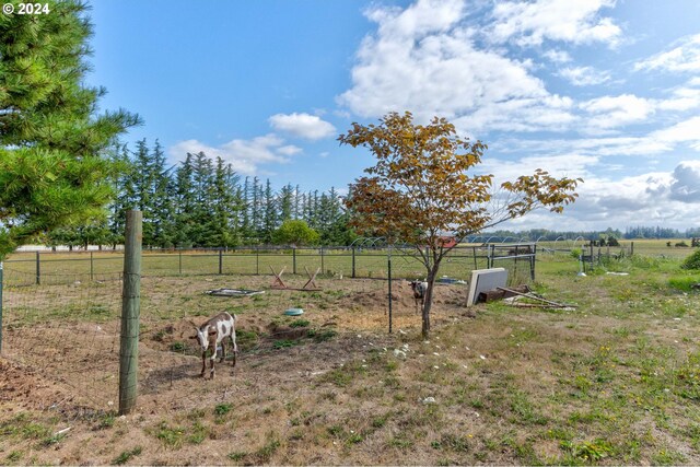 view of yard featuring a rural view