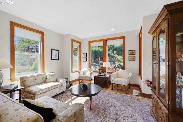 living room with light hardwood / wood-style flooring and a healthy amount of sunlight