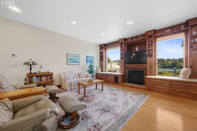 living room with light hardwood / wood-style floors